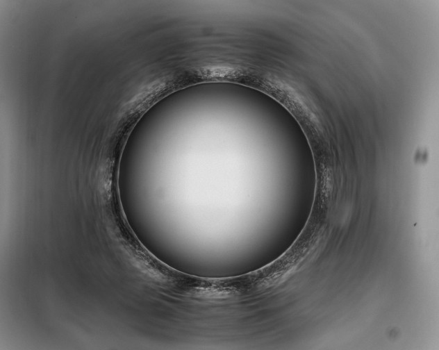 X0000099290545200805021234