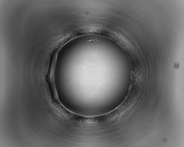 X0000099290546200805021234