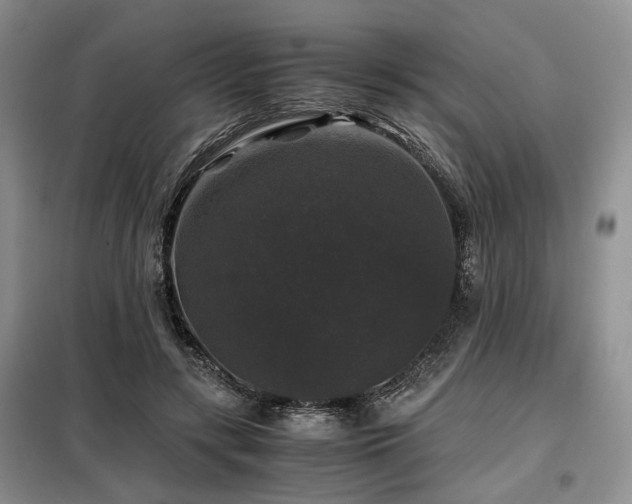 X0000099290547200805021234