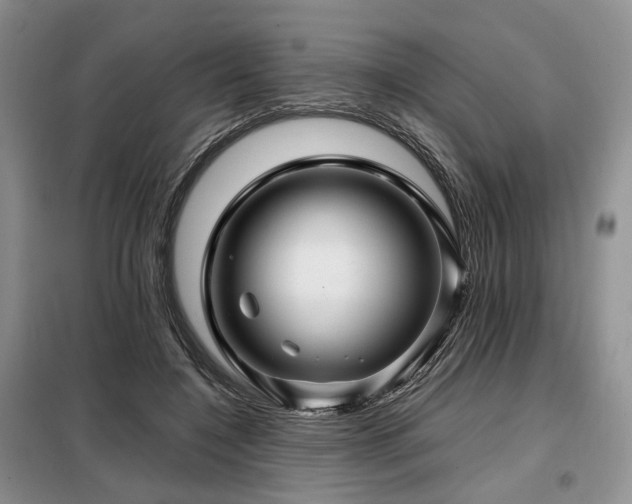X0000099290548200805021234