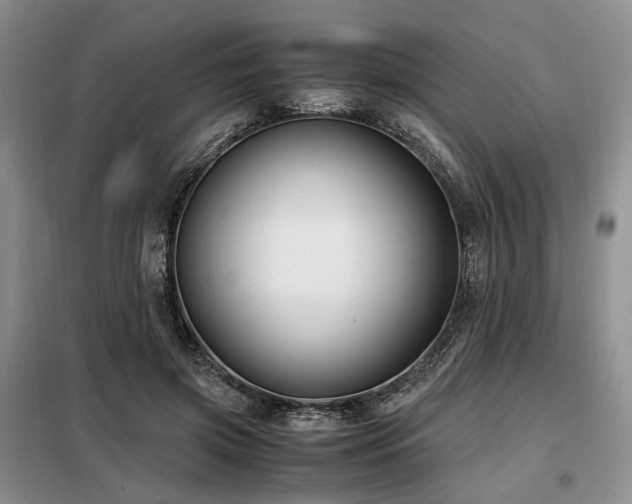 X0000099290549200805021234