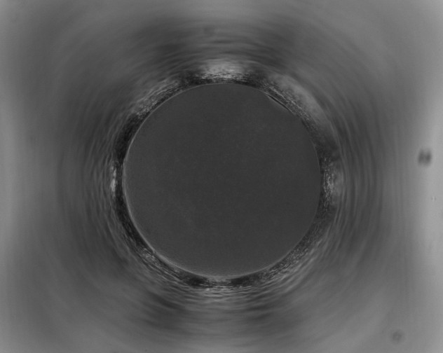 X0000099290551200805021234
