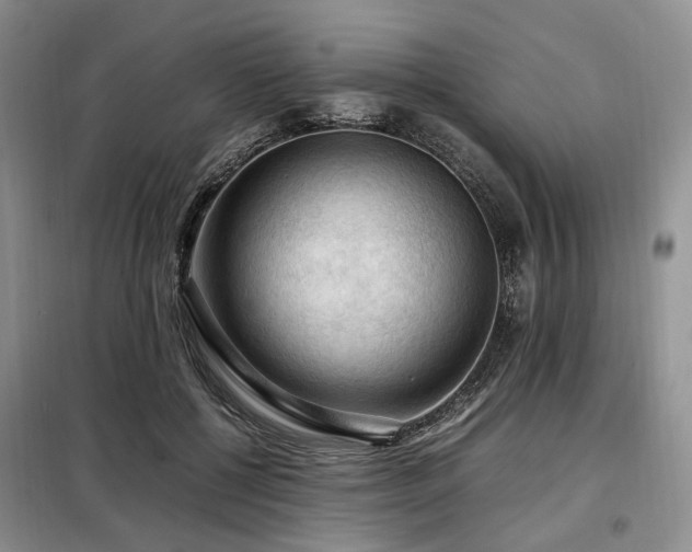X0000099290552200805021234