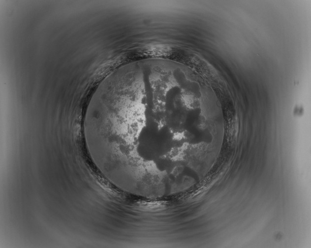 X0000099290553200805021234