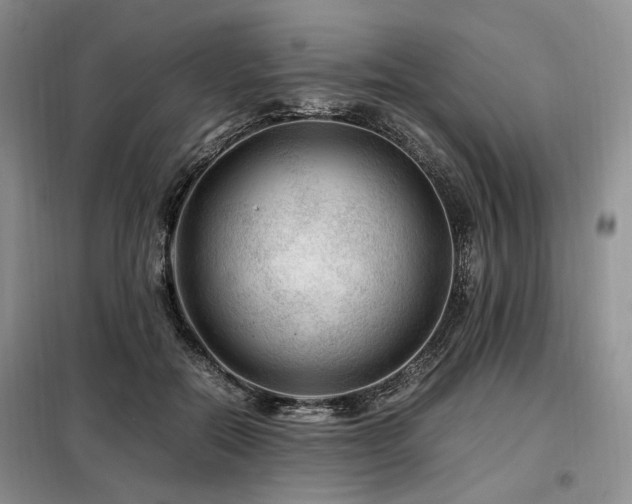 X0000099290554200805021234