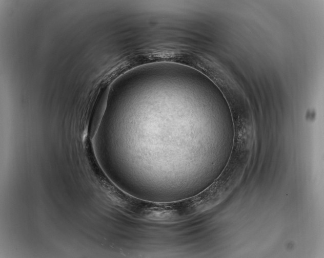 X0000099290555200805021234