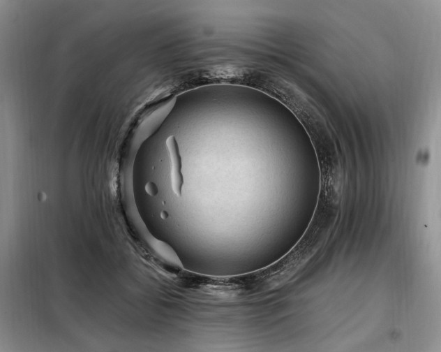 X0000099290556200805021234