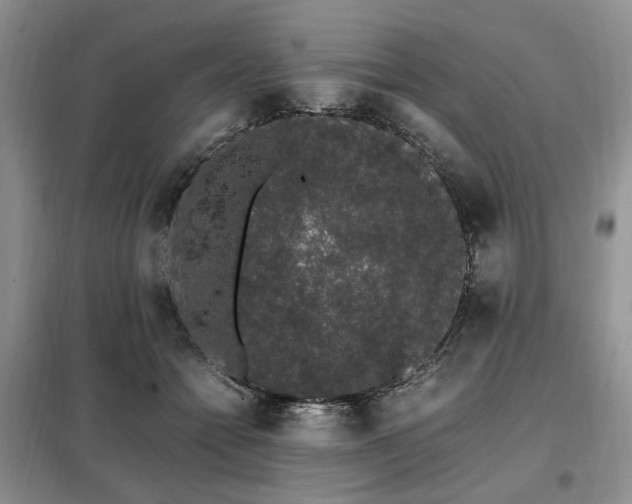 X0000099290558200805021234