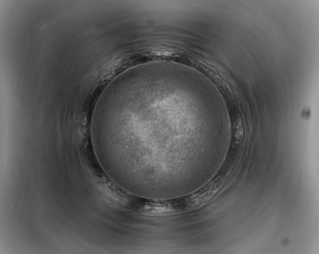 X0000099290559200805021234