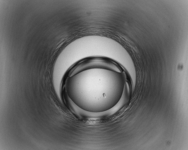 X0000099290560200805021234