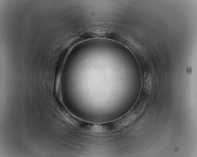 X0000099290562200805021234