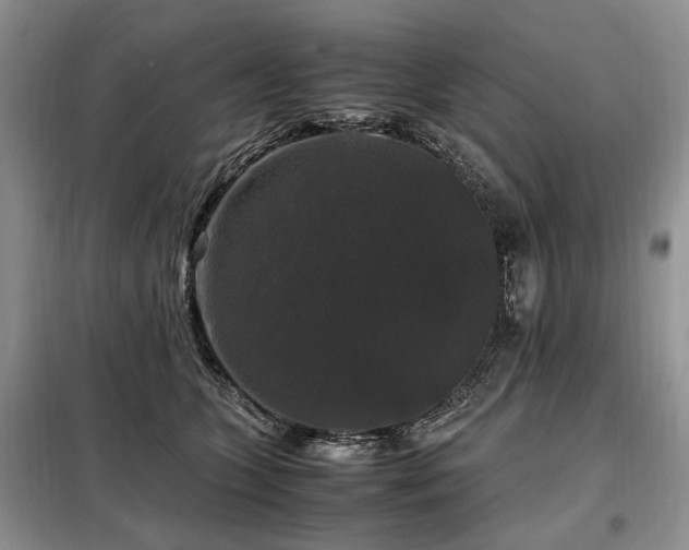 X0000099290563200805021234