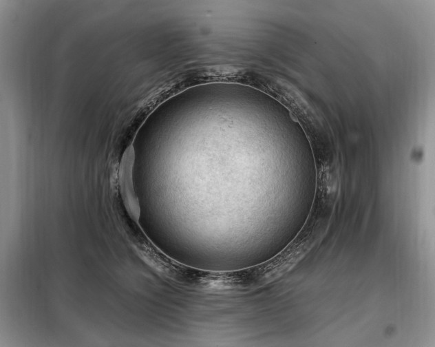 X0000099290564200805021234