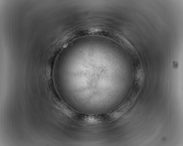 X0000099290565200805021234