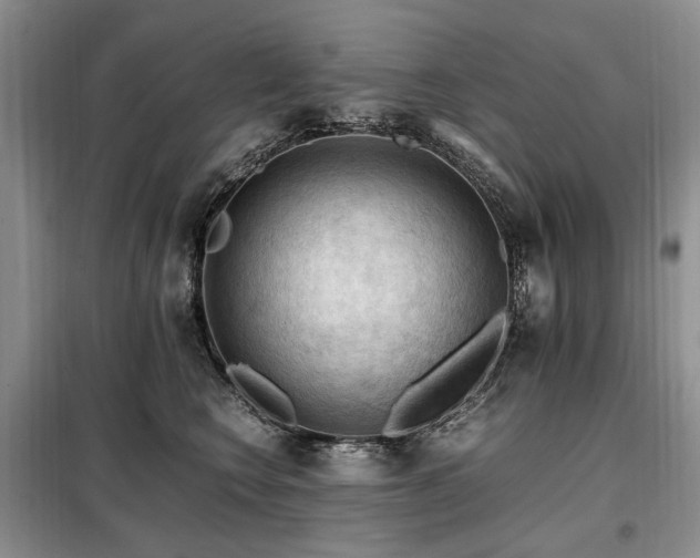 X0000099290566200805021234