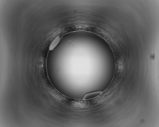 X0000099290567200805021234