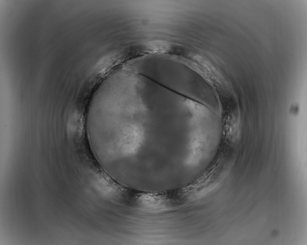 X0000099290568200805021234