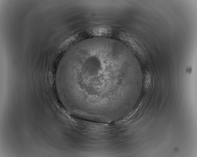 X0000099290569200805021234