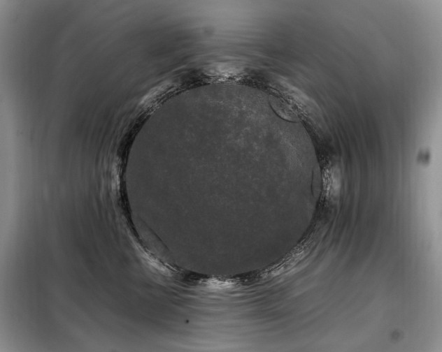 X0000099290570200805021234
