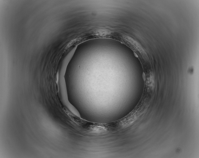 X0000099290572200805021234