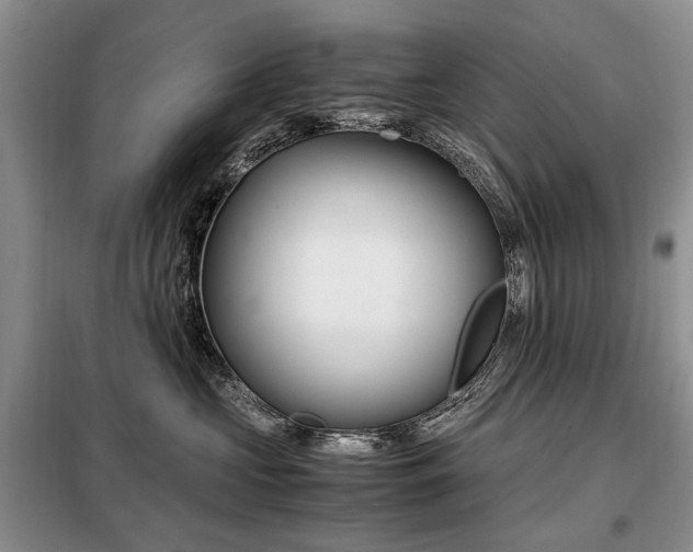 X0000099290573200805021234