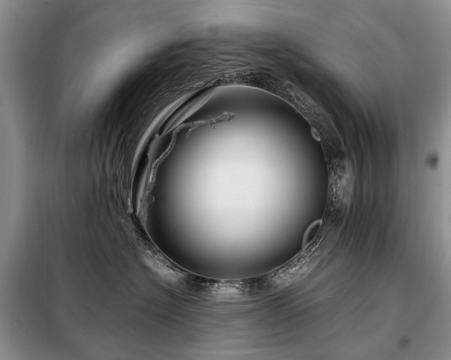X0000099290574200805021234
