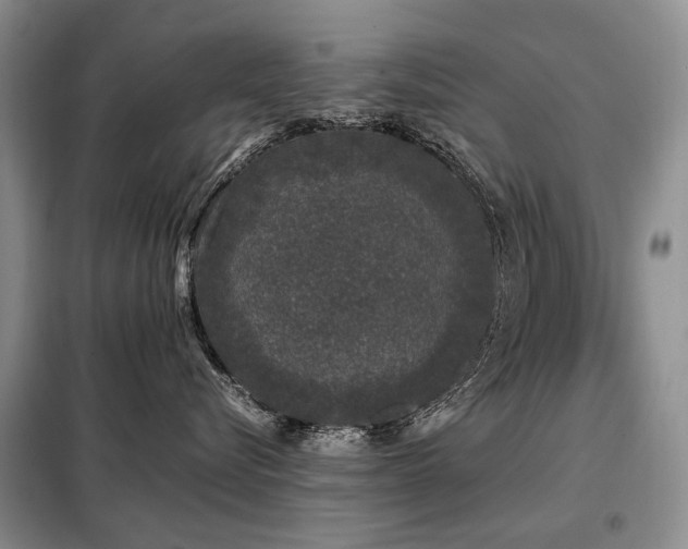 X0000099290576200805021234