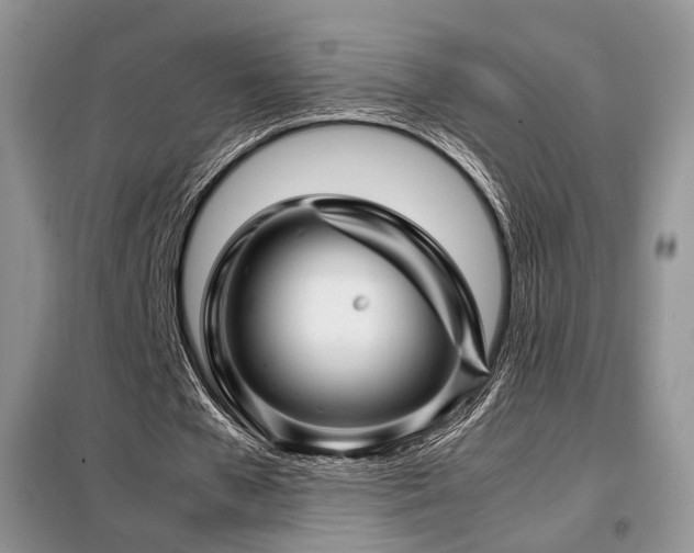 X0000099290577200805021233
