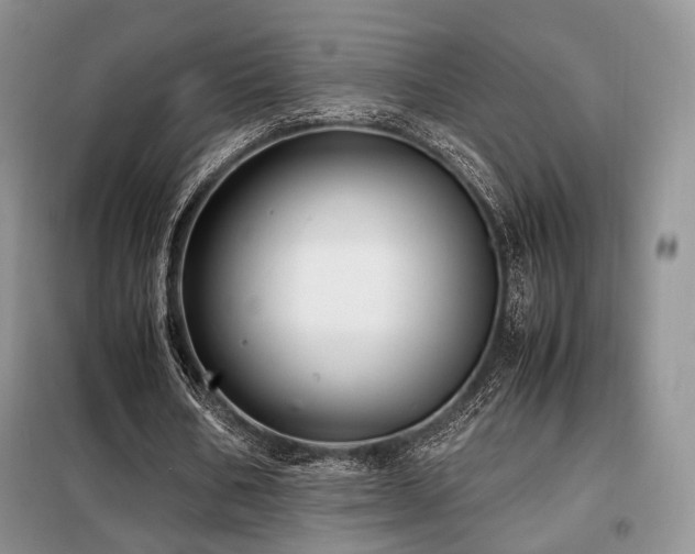 X0000099290578200805021233