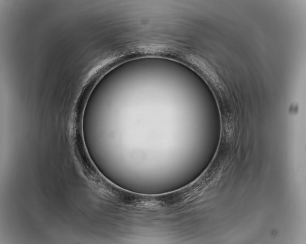 X0000099290583200805021233