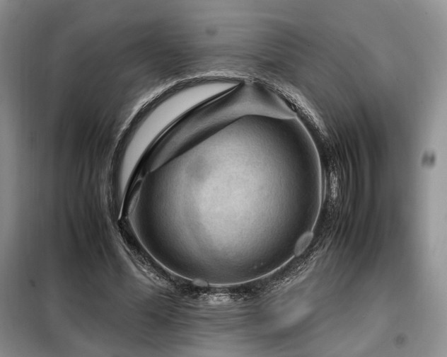 X0000099290588200805021233