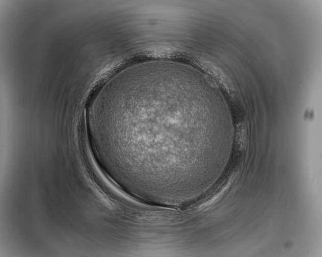 X0000099290589200805021233