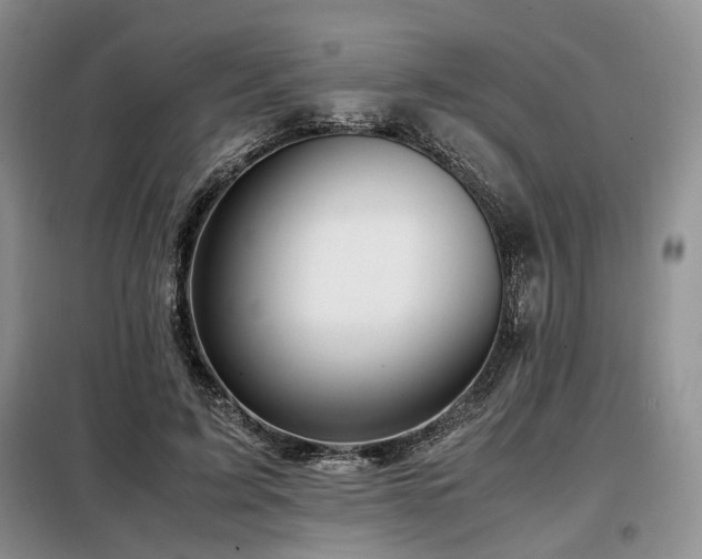 X0000099290595200805021233