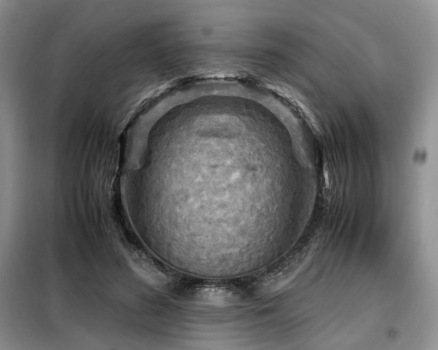 X0000099290596200805021233