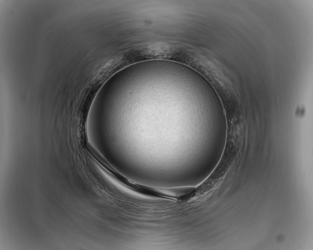 X0000099290597200805021233