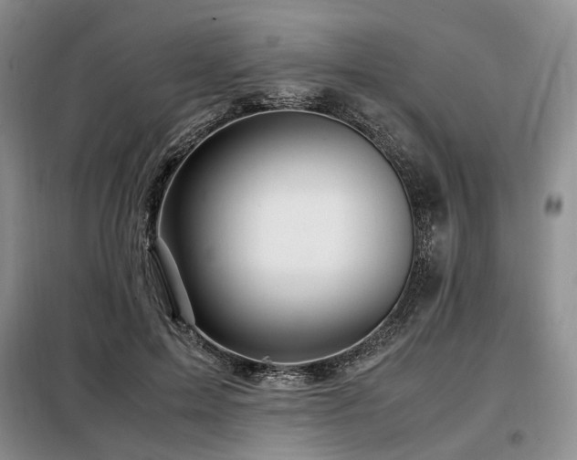 X0000099290599200805021233