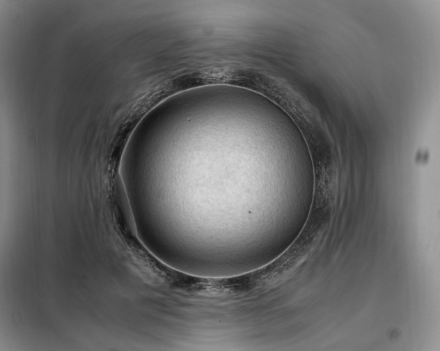 X0000099290601200805021233