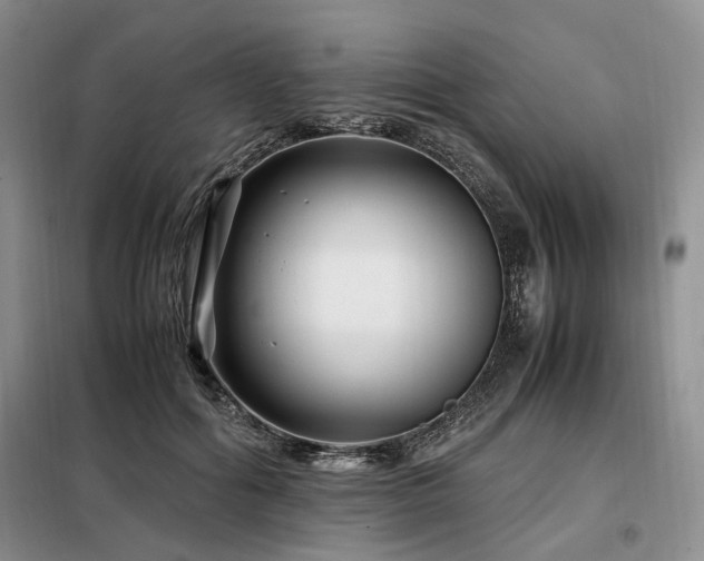 X0000099290602200805021233
