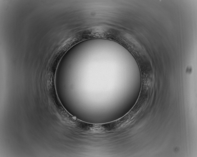 X0000099290603200805021233