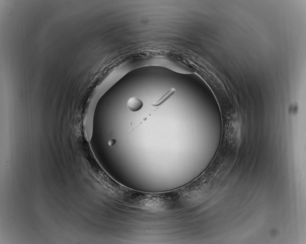 X0000099290604200805021233