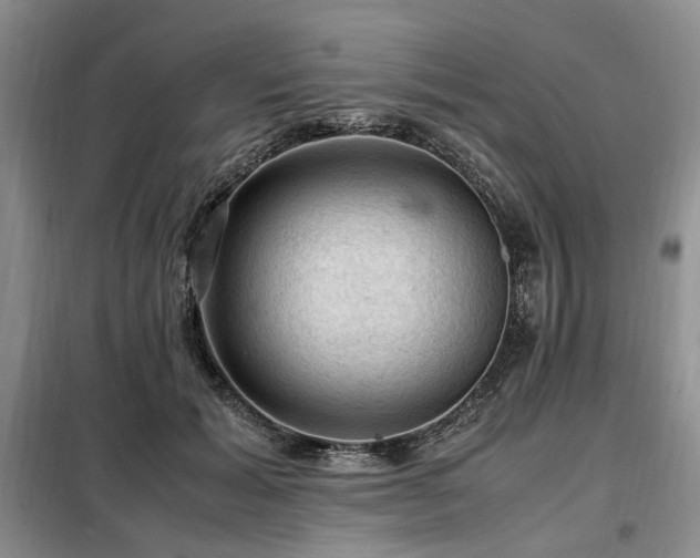 X0000099290605200805021233