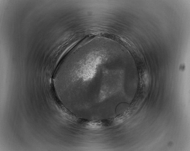 X0000099290606200805021233