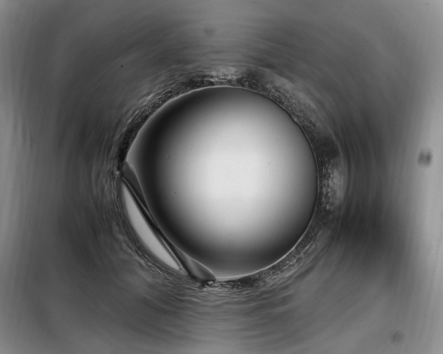 X0000099290608200805021233