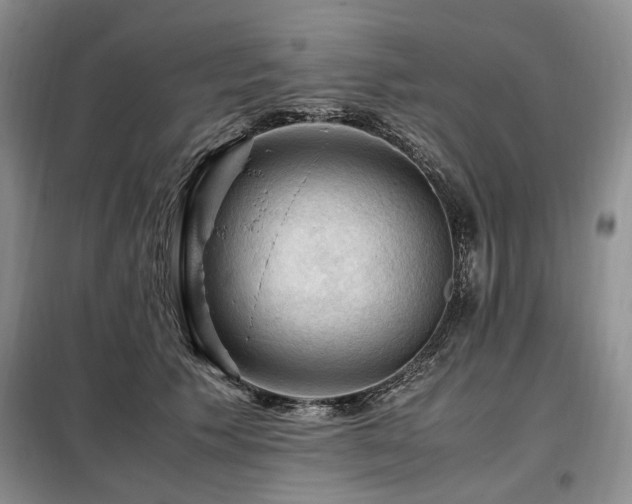 X0000099290609200805021233