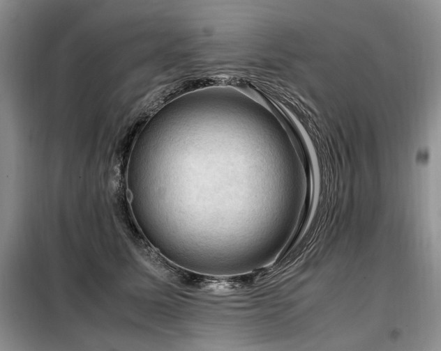 X0000099290611200805021233