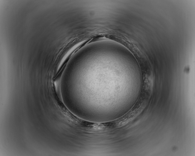 X0000099290612200805021233