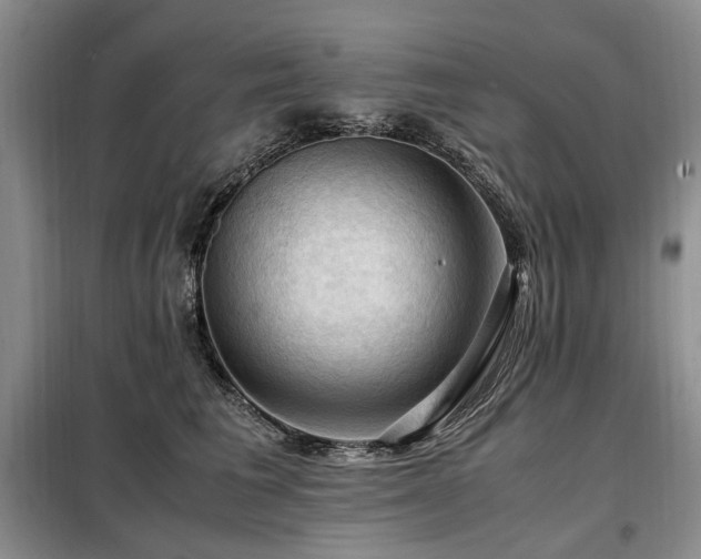 X0000099290613200805021233