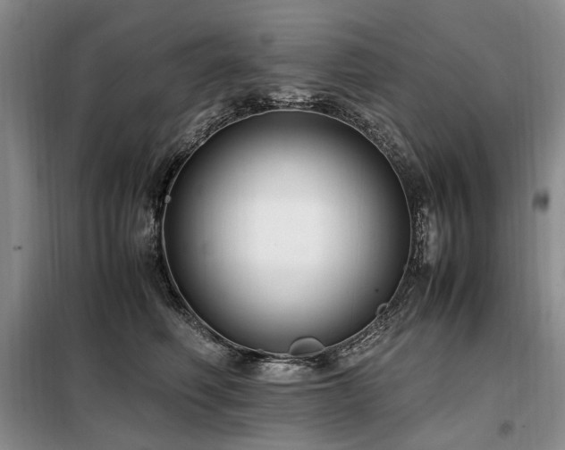 X0000099290614200805021233