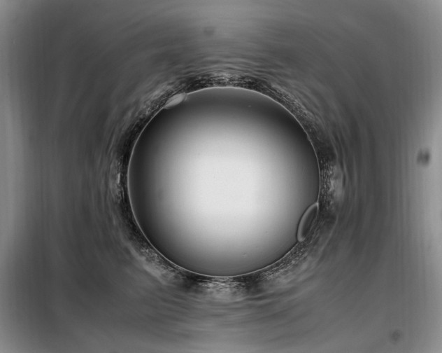 X0000099290615200805021233