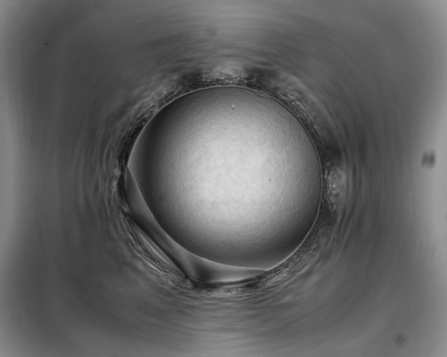 X0000099290617200805021233